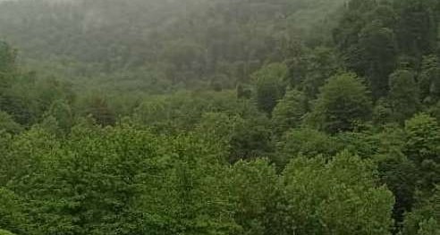 فروش زمین به مساحت ۲۱۴۶ مترمربع